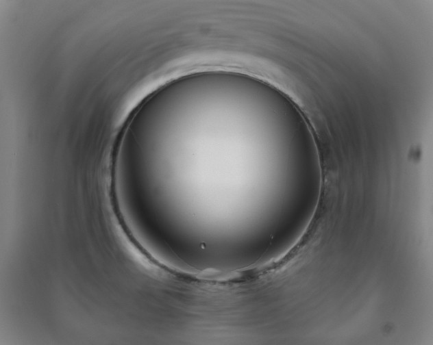 X0000091221523200708161646