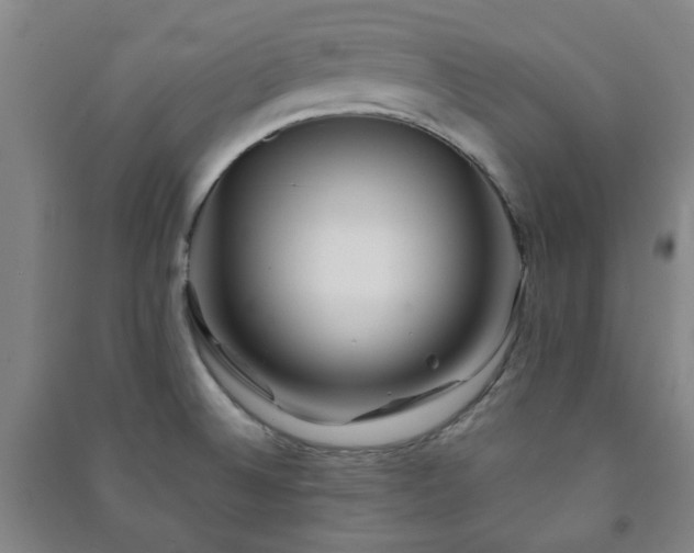 X0000091221524200708161646