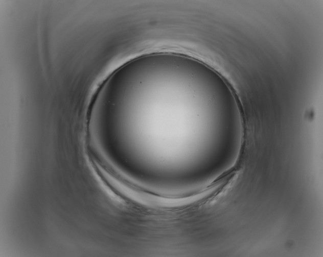 X0000091221525200708161646