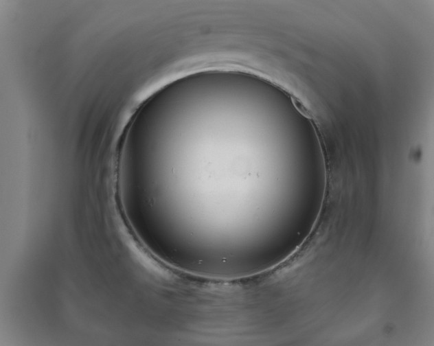 X0000091221526200708161646