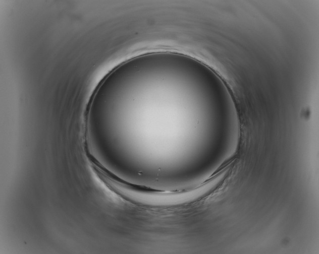 X0000091221527200708161646