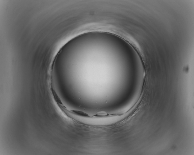 X0000091221528200708161646