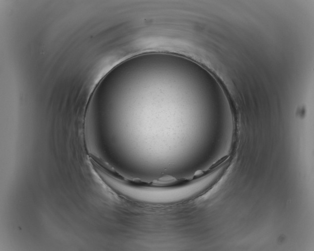 X0000091221529200708161646