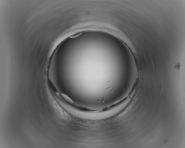 X0000091221530200708161646