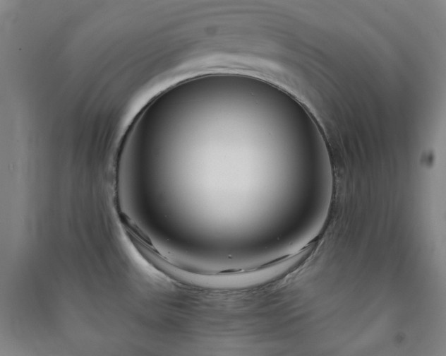 X0000091221531200708161646