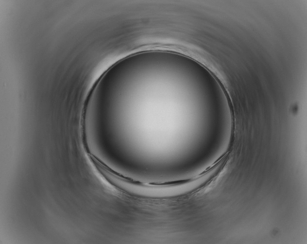 X0000091221533200708161646