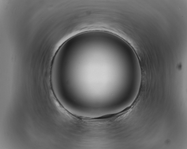 X0000091221534200708161646