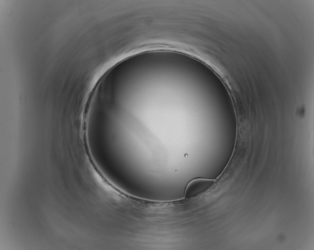 X0000091221535200708161646