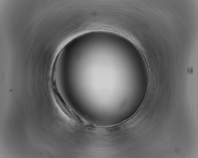 X0000091221536200708161646