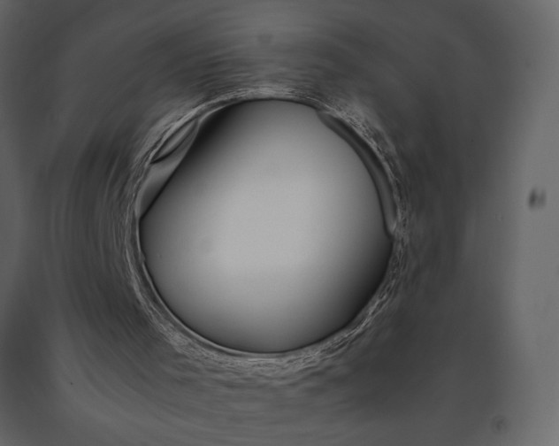 X0000091220001200708231642