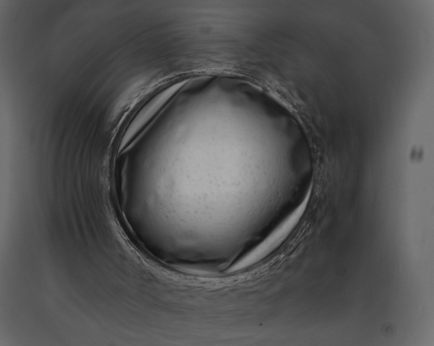 X0000091220002200708231642