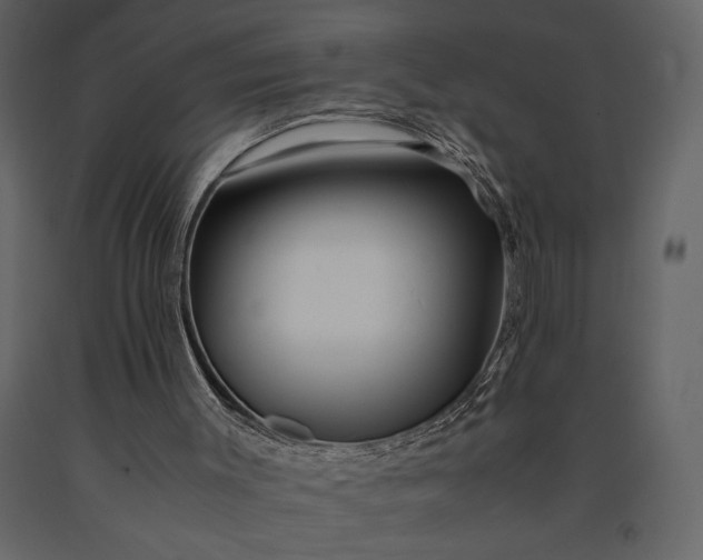 X0000091220003200708231642