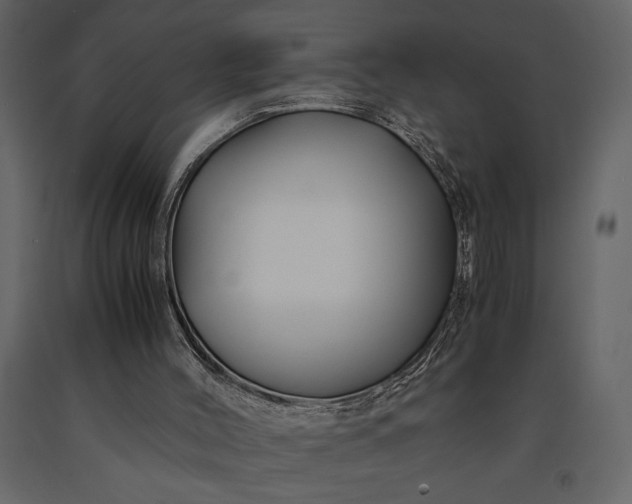 X0000091220004200708231642