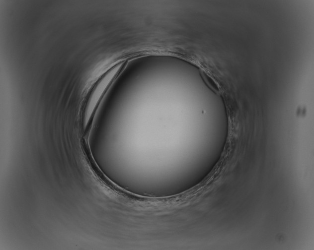 X0000091220005200708231642