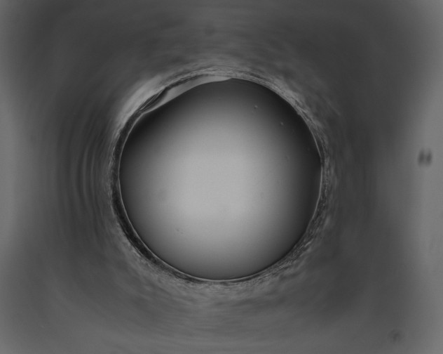 X0000091220007200708231642