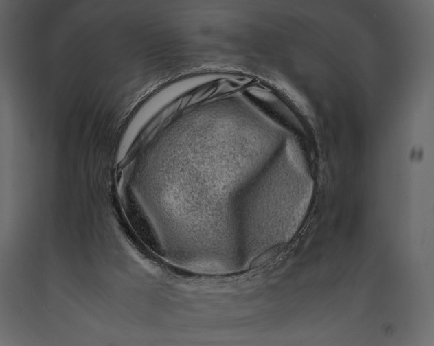 X0000091220009200708231642