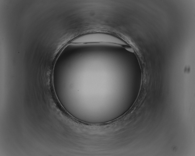 X0000091220010200708231642