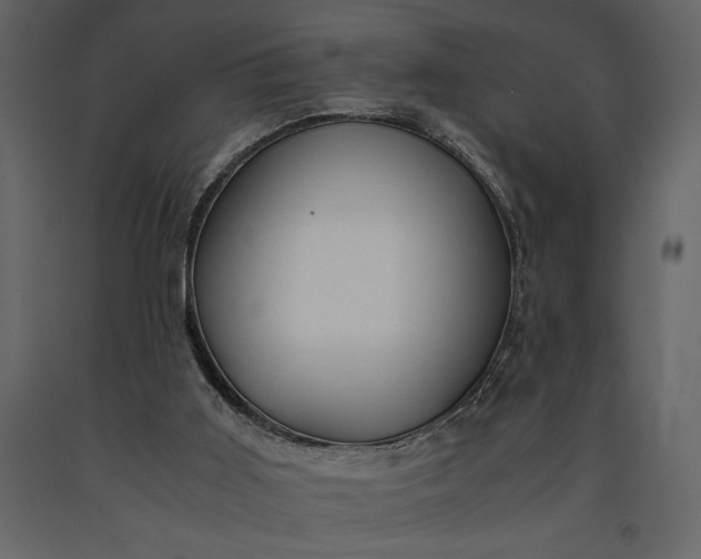 X0000091220011200708231642