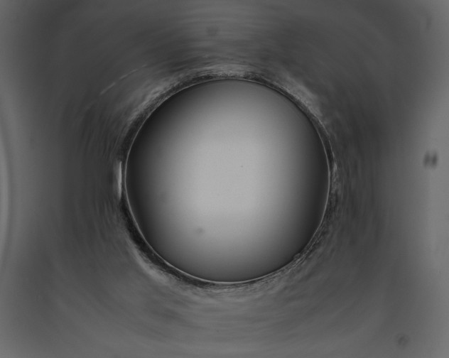 X0000091220013200708231642