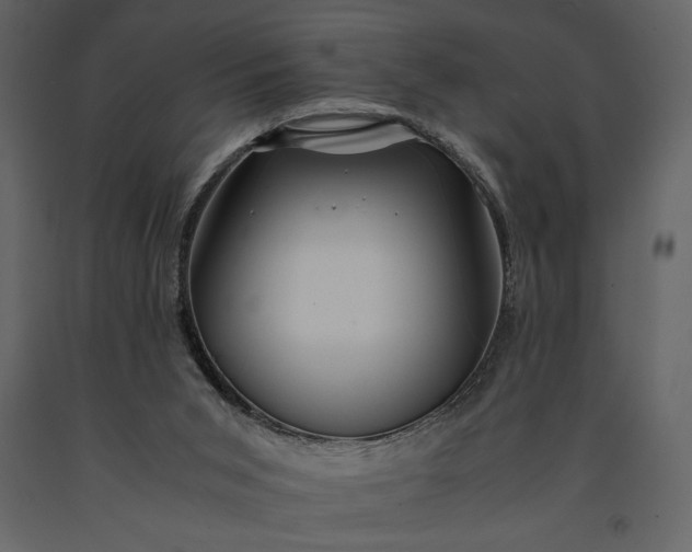 X0000091220015200708231642