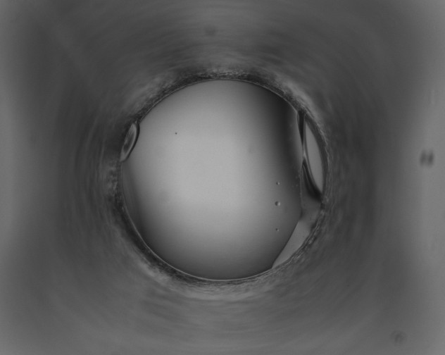 X0000091220017200708231642