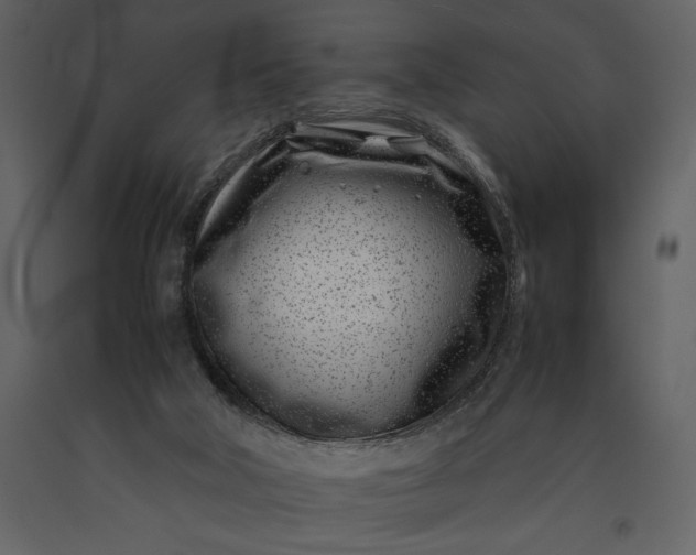 X0000091220018200708231642