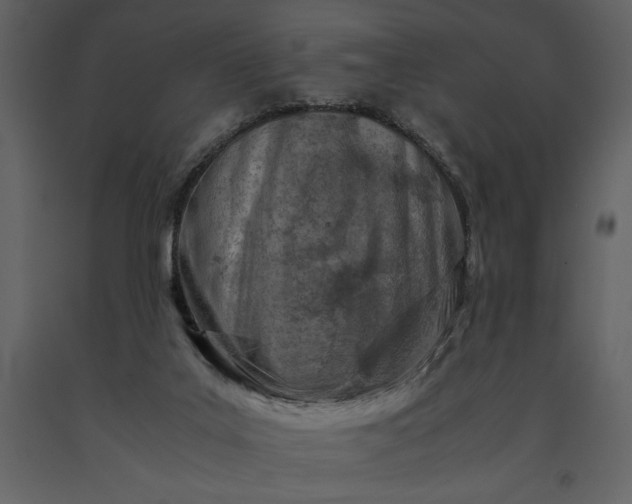 X0000091220019200708231642