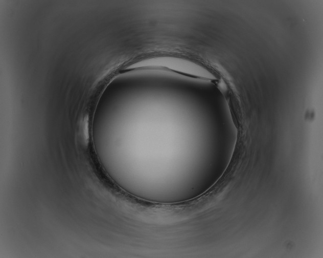 X0000091220020200708231642