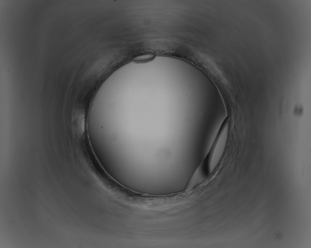 X0000091220021200708231641