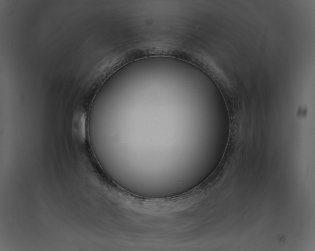 X0000091220022200708231641