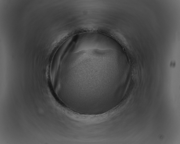 X0000091220023200708231641