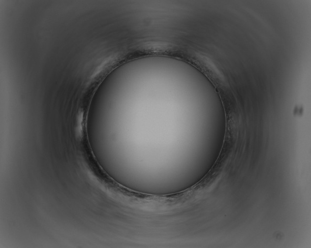 X0000091220024200708231641