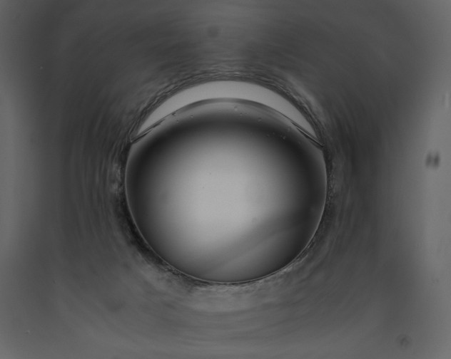 X0000091220025200708231641