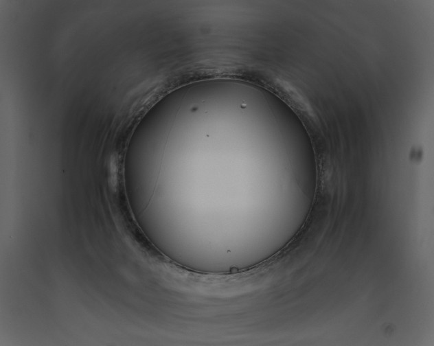 X0000091220026200708231641