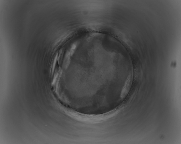 X0000091220027200708231641