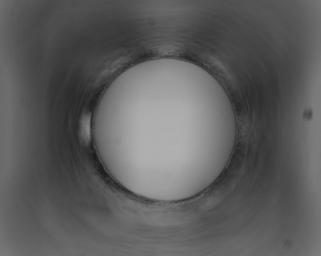 X0000091220028200708231641