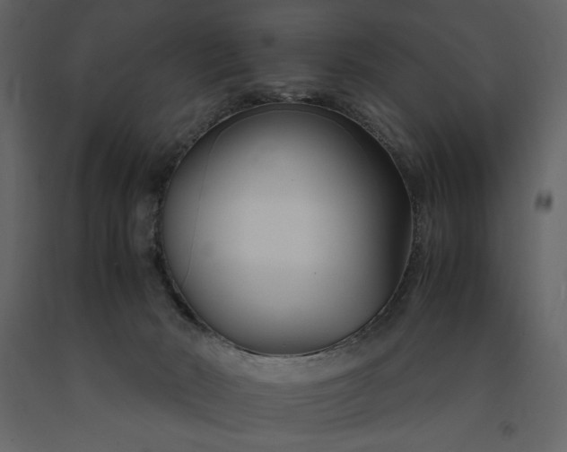 X0000091220030200708231641