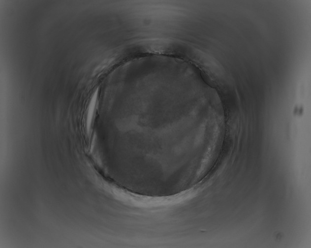 X0000091220031200708231641