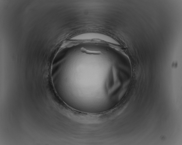 X0000091220032200708231641