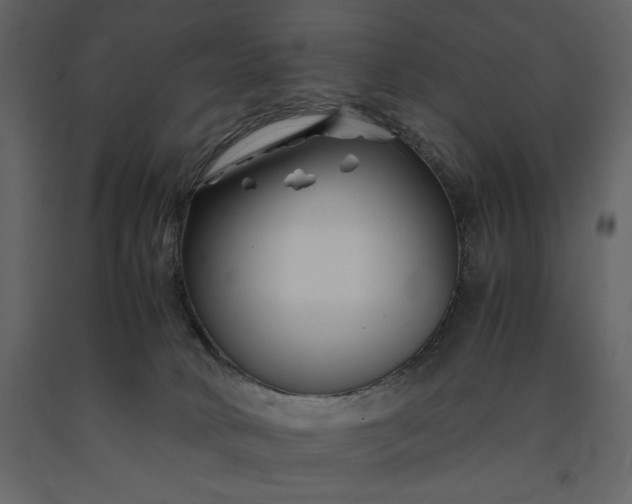 X0000091220034200708231641