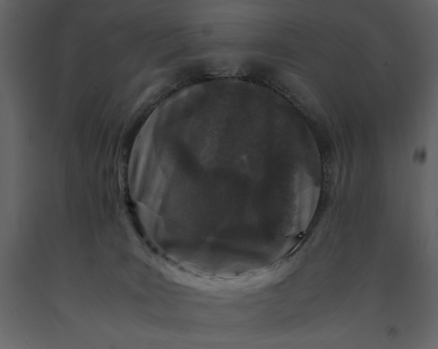 X0000091220035200708231641