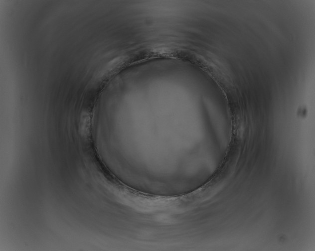 X0000091220036200708231641