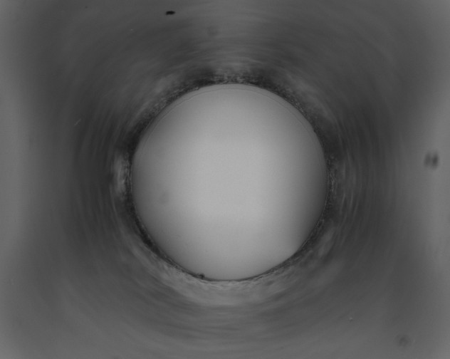 X0000091220038200708231641