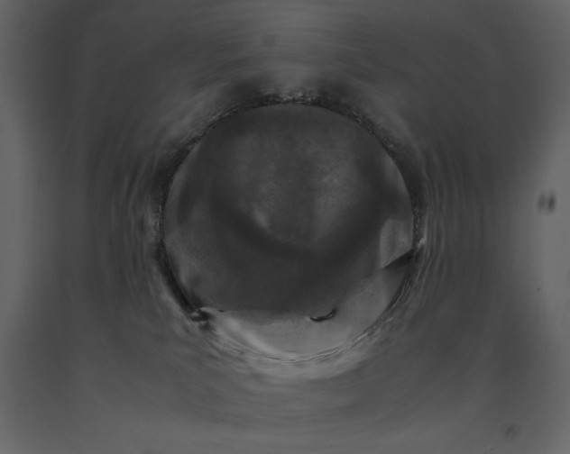 X0000091220039200708231641