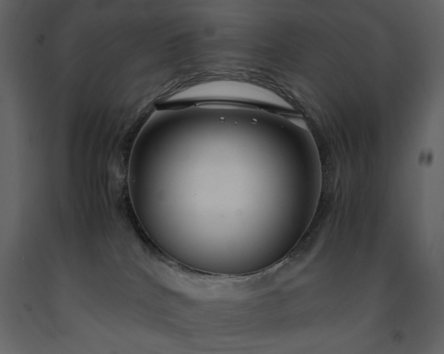 X0000091220040200708231641