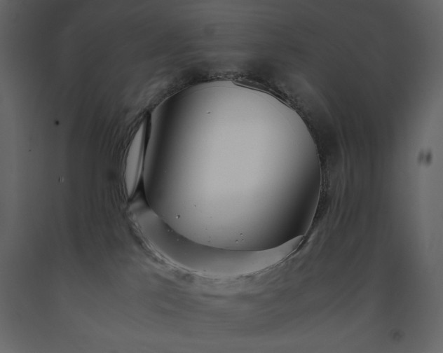 X0000091220041200708231641