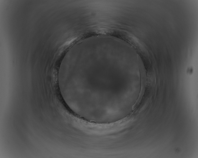 X0000091220043200708231641