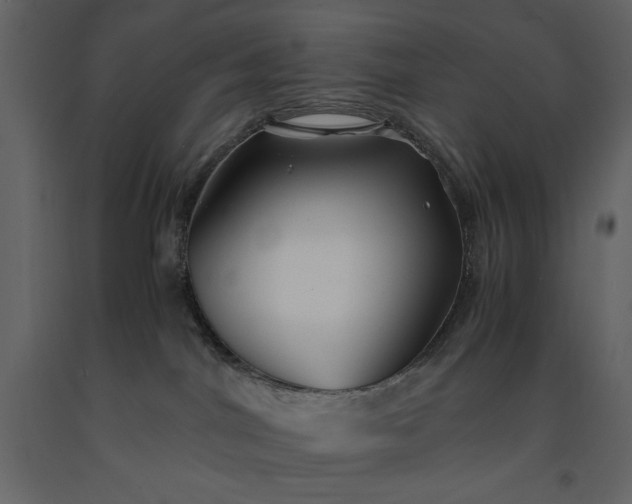 X0000091220044200708231641