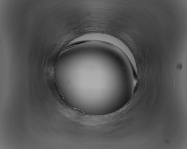 X0000091220045200708231641