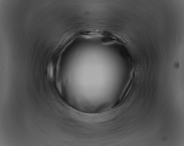 X0000091220046200708231641